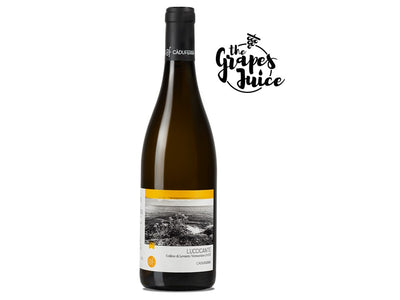 CA DU FERRA LUCCICANTE VERMENTINO 2023 COLLINE DI LEVANTO LIGURIA