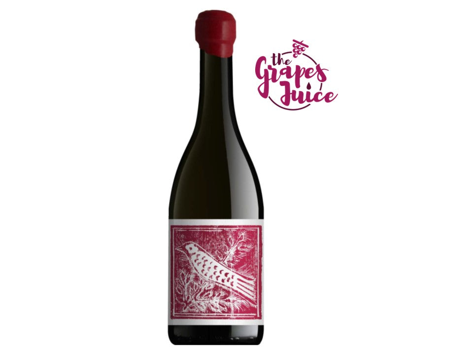 Aliotti Pinot Nero 2023 Toscana IGT