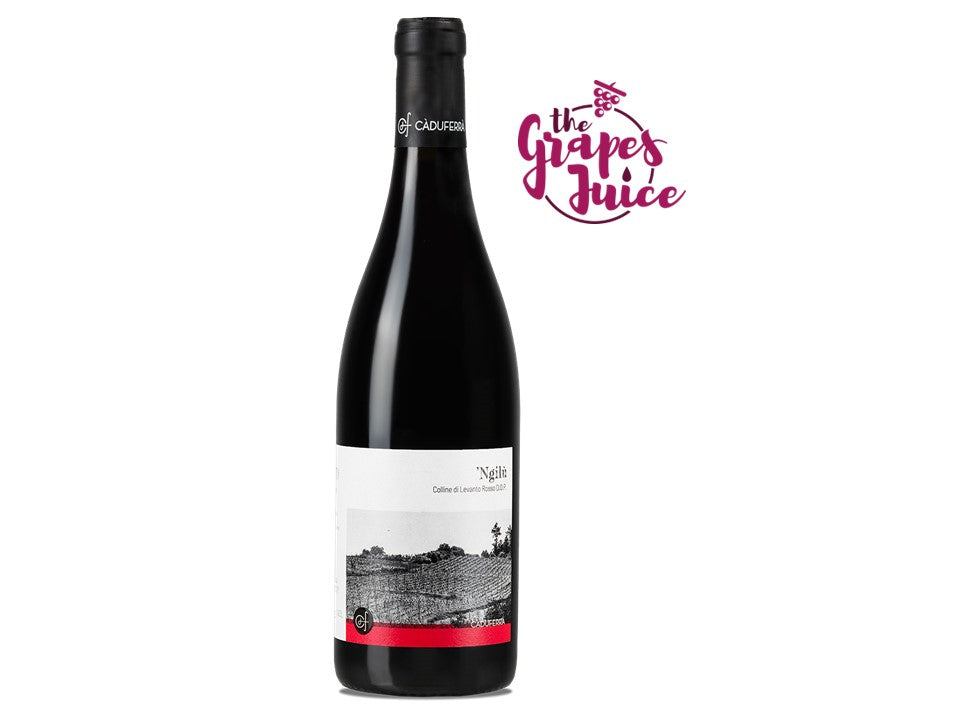 CA DU FERRA NGILU 2023 COLLINE DI LEVANTO ROSSO LIGURIA
