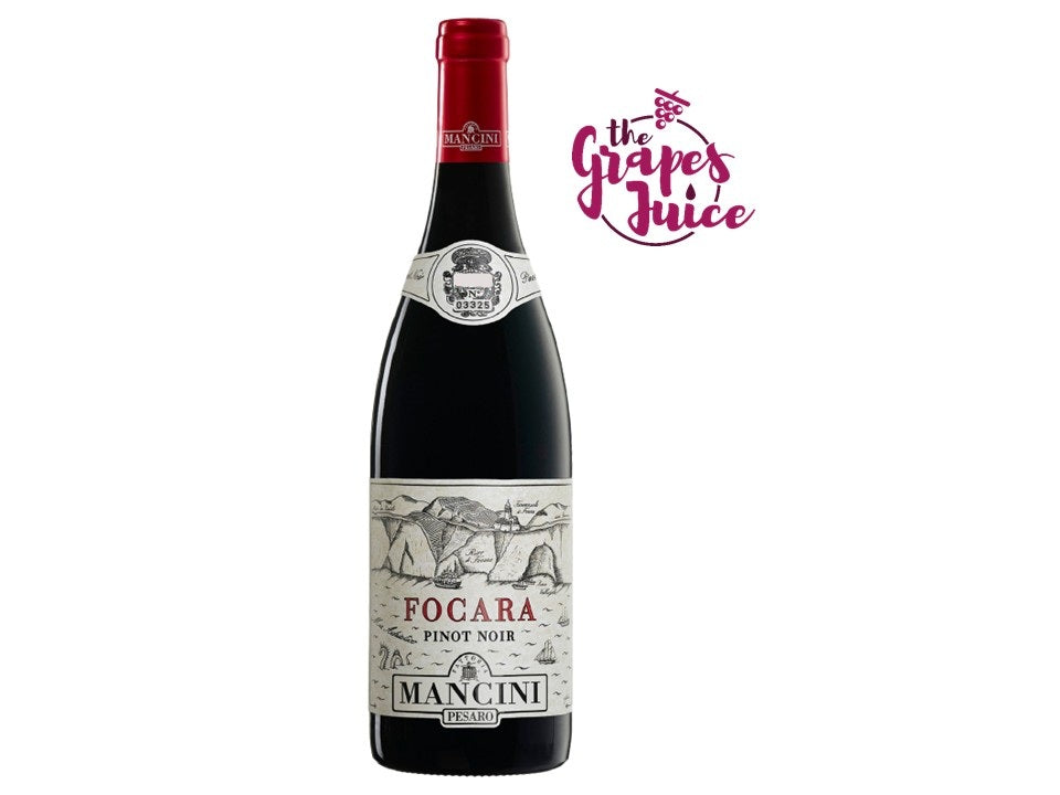 FATTORIA MANCINI PINOT NOIR COLLI PESARESI FOCARA 2024 MARCHE