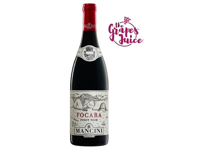 FATTORIA MANCINI PINOT NOIR COLLI PESARESI FOCARA 2024 MARCHE