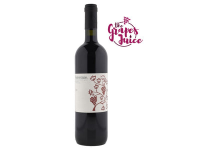 Montevetrano di Siliva Imparato 2004 Colli di Salerno IGT Campania