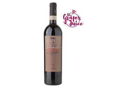 SECONDO MARCO AMARONE DELLA VALPOLICELLA CLASSICO DOCG 2011 VENETO
