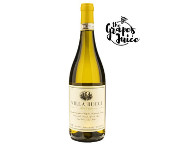 VILLA BUCCI VERDICCHIO DEI CASTELLI DI JESI CLASSICO SUPERIORE RISERVA DOCG 2021 MARCHE