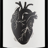 Vin Noe Amour Vache 2024 Vin de France