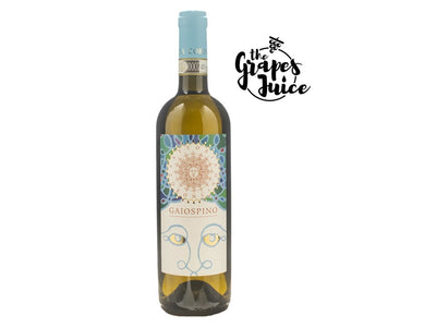 FATTORIA CORONCINO GAIOSPINO VERDICCHIO DEI CASTELLI DI JESI CLASSICO RISERVA 2022 MARCHE