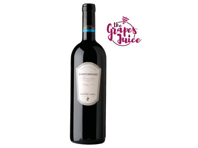 MARCHESI GINORI LISCI CAMPORDIGNO MONTESCUDAIO 2023 TOSCANA