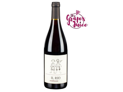 Il Rio Pinot Nero 2023 Tuscany IGT